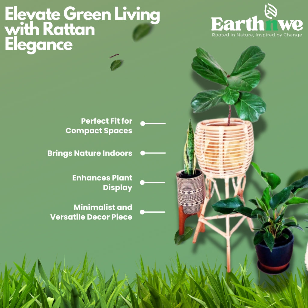 Whimsy rattan planter with tripod stand