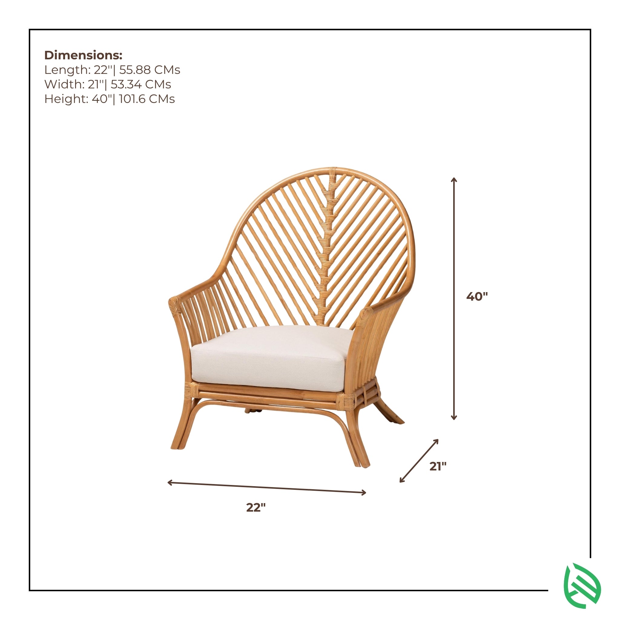 Dimensions graphic of Fishtail Fern rattan chair 22x21x40 inches