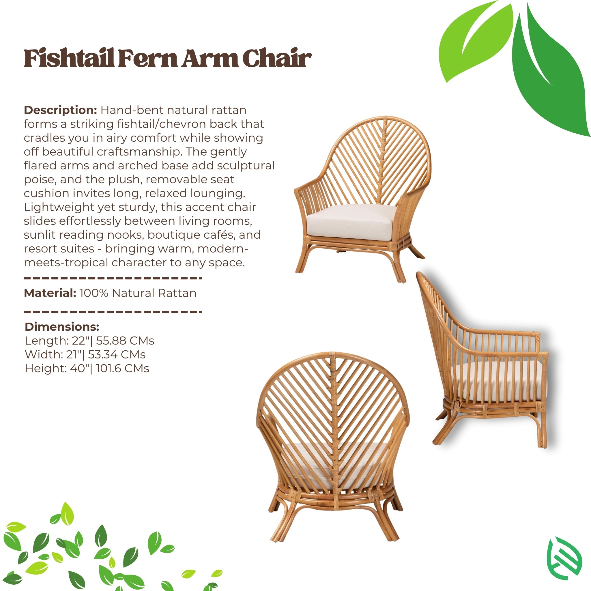 Fishtail Fern Arm Chair with product description and dimensions on a white background