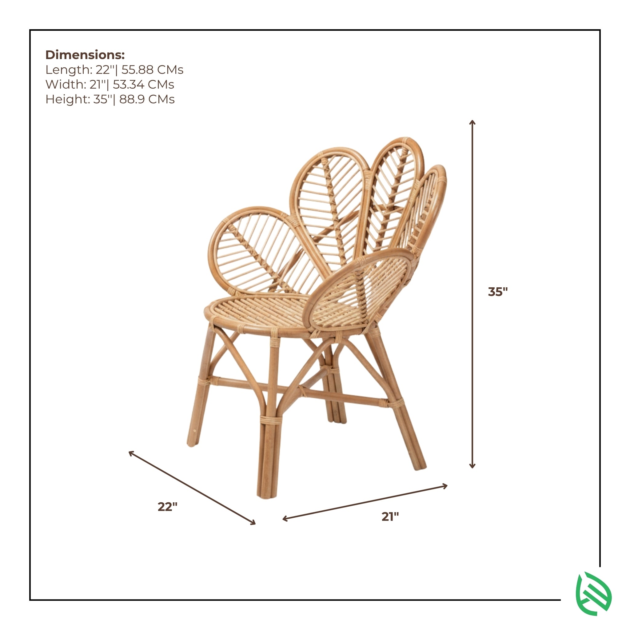 Dimensions graphic of Tulip Wonder rattan chair 22x21x35 inches