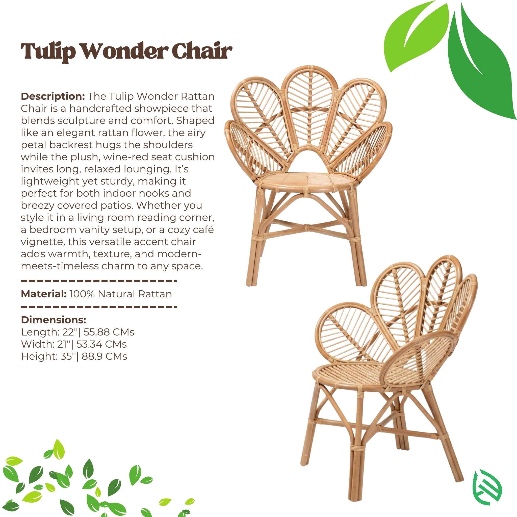 Tulip Wonder Rattan Chair with product description and specifications on a white background.