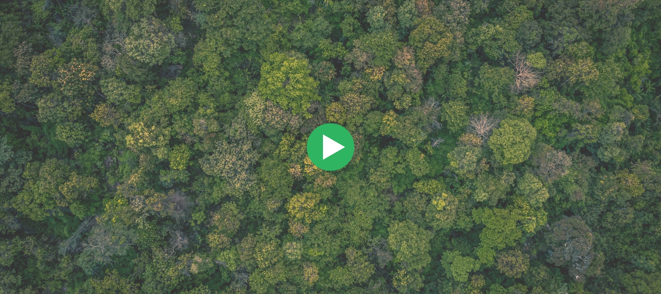 Load video: EarthNWe Ideology