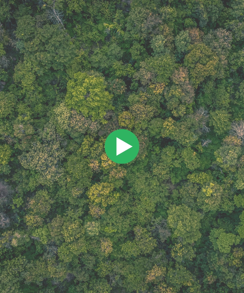 Load video: Showcasing our Artisanal Capability around our eco-friendly products in desktop view | EarthNWe