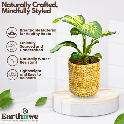 Kauna grass planter with round design