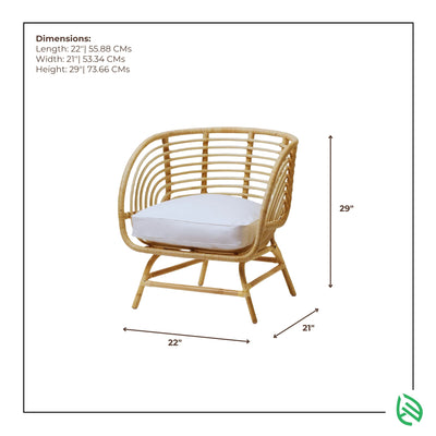 Dimensions graphic of Cafe Canopy rattan chair 22x21x29 inches