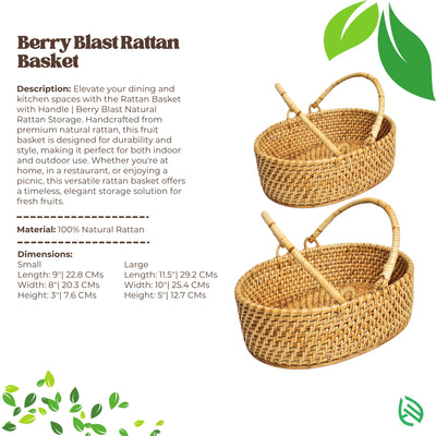 Berry Blast product information with dual handle view