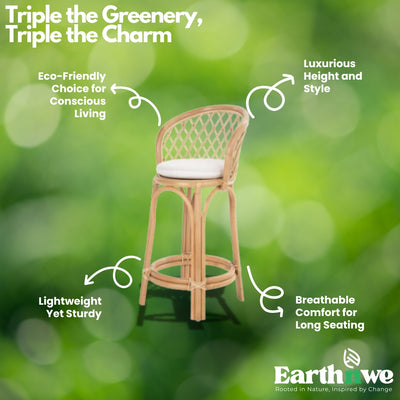 Cane bar chair with cushioned seat