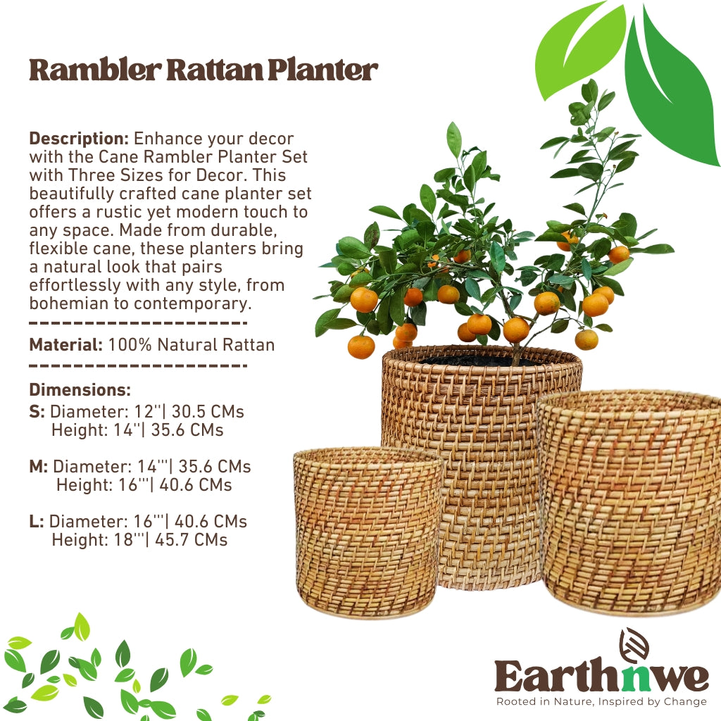 Cane planter set with three sizes