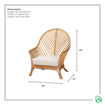 Dimensions graphic of Fishtail Fern rattan chair 22x21x40 inches