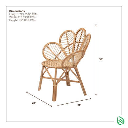 Dimensions graphic of Tulip Wonder rattan chair 22x21x35 inches